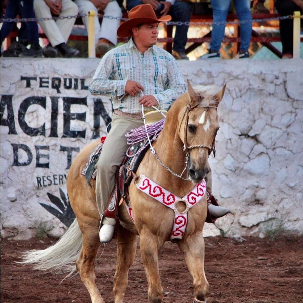 Meet your Posher, Cacho